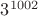 $3^{1002}$