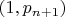 $\left( {1,{p_{n + 1}}} \right)$