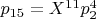 $p_{15}=X^{11}p_2^4$