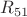 $R_{51}$