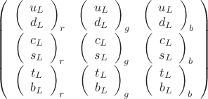 $$\left(\begin{array}{ccc}\left(\begin{array}{c}u_L\\d_L\end{array}\right)_r&\left(\begin{array}{c}u_L\\d_L\end{array}\right)_g&\left(\begin{array}{c}u_L\\d_L\end{array}\right)_b\\\left(\begin{array}{c}c_L\\s_L\end{array}\right)_r&\left(\begin{array}{c}c_L\\s_L\end{array}\right)_g&\left(\begin{array}{c}c_L\\s_L\end{array}\right)_b\\\left(\begin{array}{c}t_L\\b_L\end{array}\right)_r&\left(\begin{array}{c}t_L\\b_L\end{array}\right)_g&\left(\begin{array}{c}t_L\\b_L\end{array}\right)_b\end{array}\right)$$