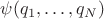 $\psi(q_1,\ldots,q_N)$