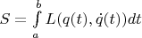 $ S = \int\limits_a^b L( q(t), \dot q(t)) dt $