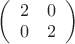 $\left( \begin{array}{cc} 2 & 0 \\0 & 2 \end{array} \right)$
