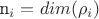 n_i=dim(\rho_i)$