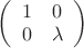 $\left( \begin{array}{cc} 1 & 0 \\ 0 & \lambda \end{array} \right)$