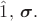 $\hat 1, \, \boldsymbol{\sigma}.$