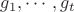 $g_1, \cdots, g_t$