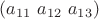 $(a_{11}\ a_{12}\ a_{13})$