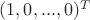 $(1,0,...,0)^{T} $