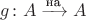 $g\colon A\xrightarrow{\text{на}}A$