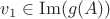 $v_1 \in \operatorname{Im}(g(A))$