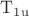 $\mathrm{T_{1u}}$