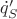 $\dot q_S'$