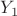 $Y_{1}$