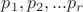 $p_1, p_2,... p_r$