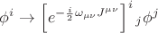 $\phi^i \to \left[ e^{-\frac{i}{2}\omega_{\mu \nu} J^{\mu\nu}}\right]^i_{}_{j} \phi^j$