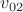 $v_{02}$