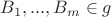 $B_1,...,B_m \in g$ $B_1,...,B_m \in g$
