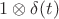 $1 \otimes \delta (t)$