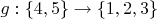 $g : \{ 4,5 \} \to \{ 1,2,3 \}$