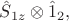 $\hat{S}_{1z} \otimes \hat{1}_2, $