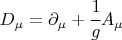 $D_{\mu}=\partial_\mu + \cfrac{1}{g} A_\mu$