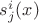 $s^i_j (x)$