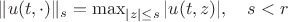 $\|u(t,\cdot)\|_s=\max_{|z|\le s}|u(t,z)|,\quad s<r$