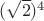 $({\sqrt{2}})^4$