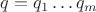 $q=q_{1}\dots q_{m}$