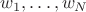$w_1, \ldots, w_N$