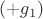 $(+g_1)$