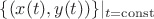 $\{(x(t),y(t))\}|_{t= \operatorname{const}}$