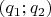 $(q_1;q_2)$