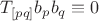 $T_{[pq]}b_pb_q\equiv0$