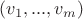 $(v_1, ..., v_m)$
