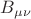 $B_{\mu\nu}$