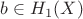 $b\in H_1(X)$