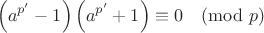 $$\left(a^{p'}-1\right)\left(a^{p'}+1\right)\equiv 0 \pmod{p}$$