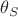 \theta_{S} \theta_{S}