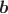 $\boldsymbol{b}$
