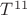 $T^{11}$