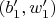 $(b'_1, w'_1)$