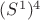 $(S^1)^4$