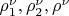 $\rho^\nu_1, \rho^\nu_2, \rho^\nu$