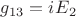 ${g_{13}} = {{iE}_2}$