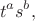 $$t^a s^b,$$ $$t^a s^b,$$