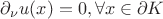 $\partial _\nu u(x)=0, \forall x\in \partial K$