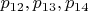 $p_{12},p_{13},p_{14}$